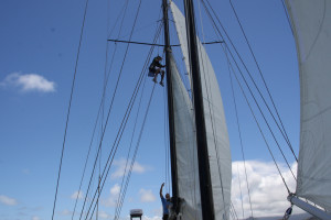 Learning the rigging by climbing the mast